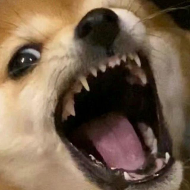 班**